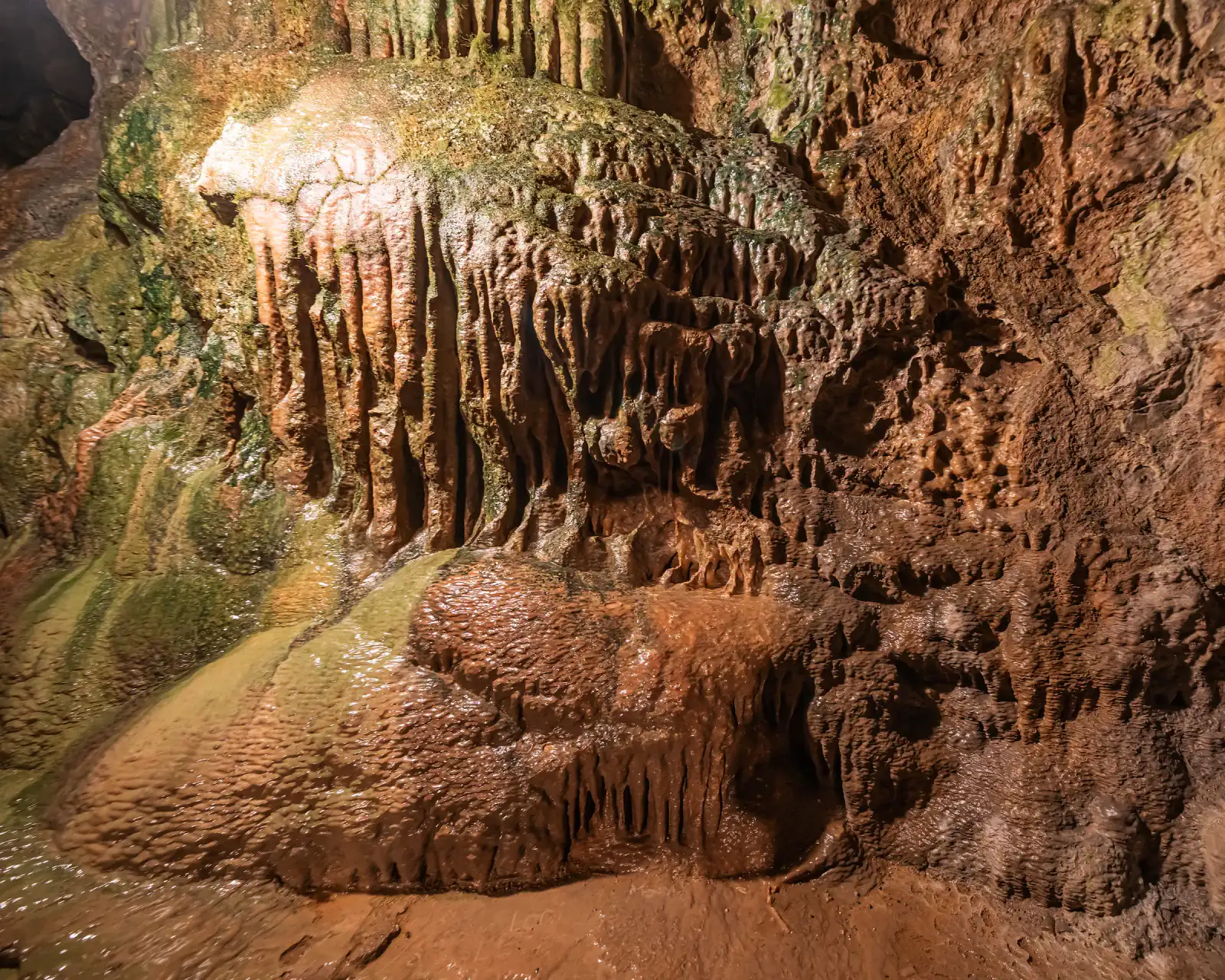 Dichte Stalaktiten über einem Sinterbecken in der Wiehler Tropfsteinhöhle