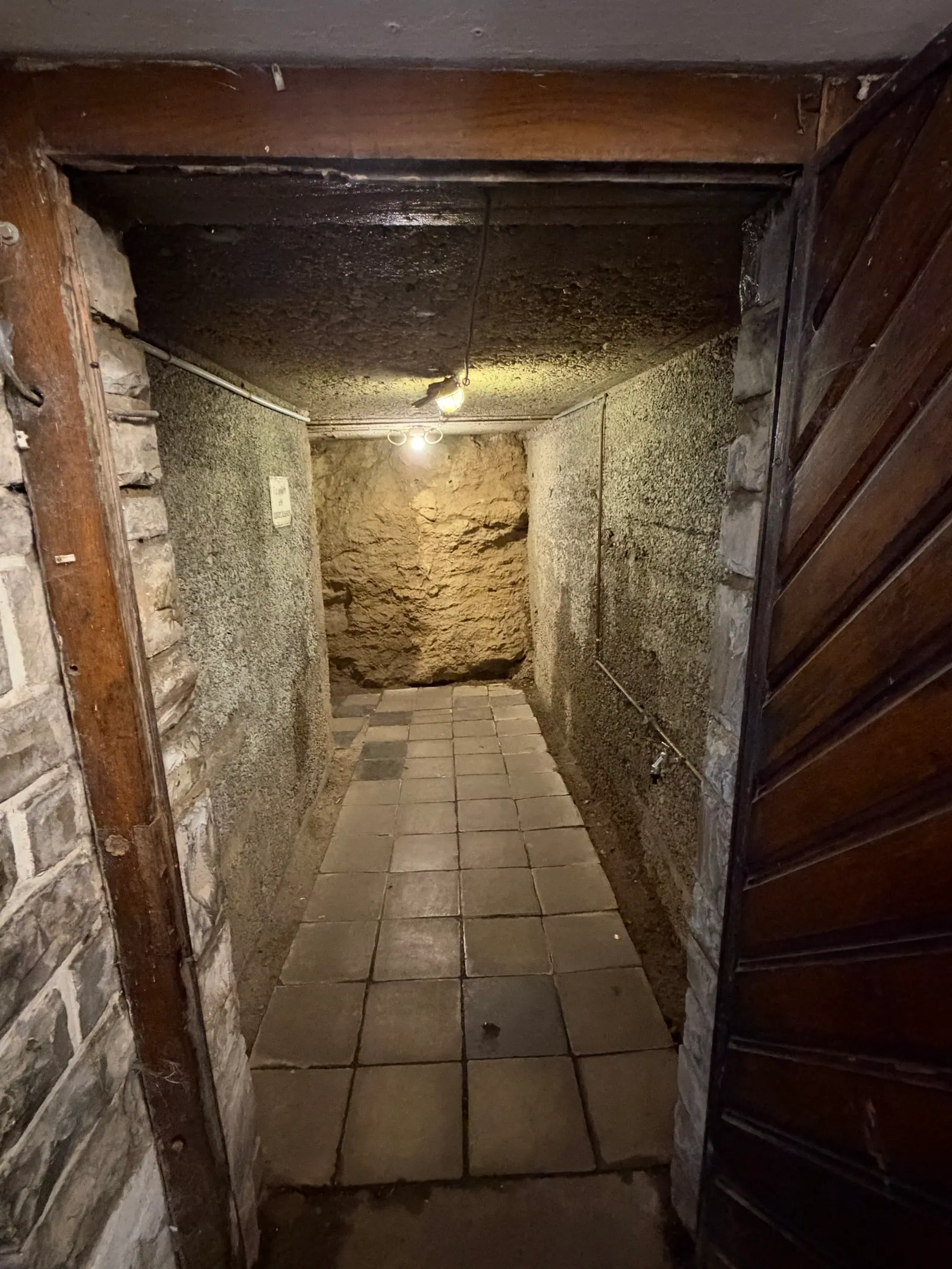 Blick durch die Holztür in den Stollen der Tropfsteinhöhle